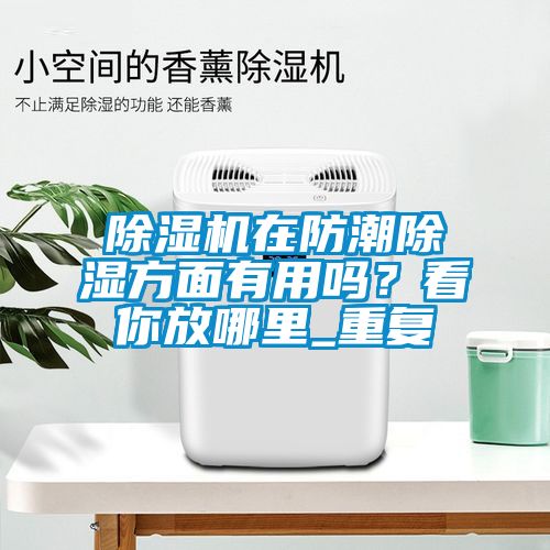 麻豆视频免费看在防潮除濕方麵有用嗎？看你放哪裏_重複