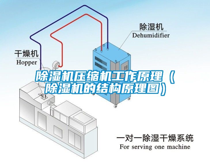 麻豆视频免费看壓縮機工作原理（麻豆视频免费看的結構原理圖）