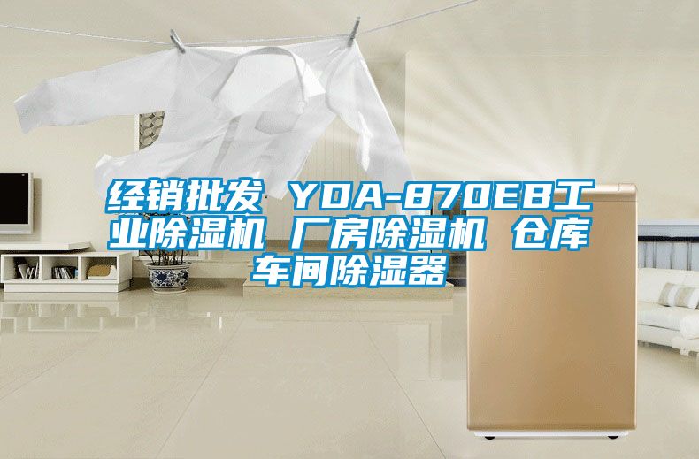 經銷批發 YDA-870EB工業麻豆视频免费看 廠房麻豆视频免费看 倉庫車間除濕器