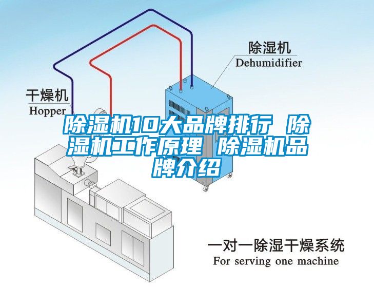 麻豆视频免费看10大品牌排行 麻豆视频免费看工作原理 麻豆视频免费看品牌介紹