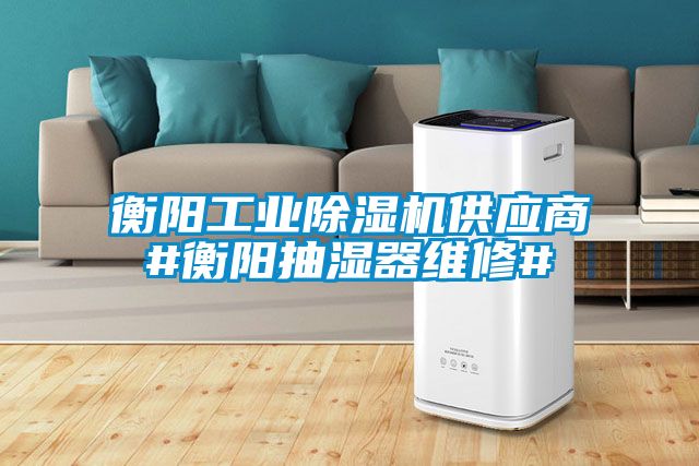 衡陽工業麻豆视频免费看供應商#衡陽抽濕器維修#