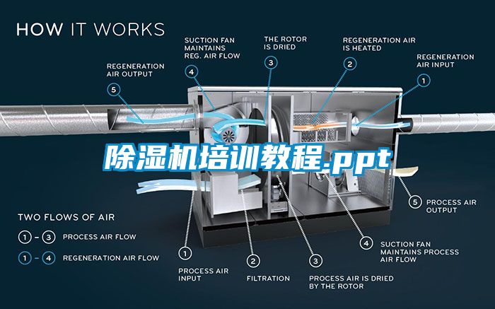 麻豆视频免费看培訓教程.ppt