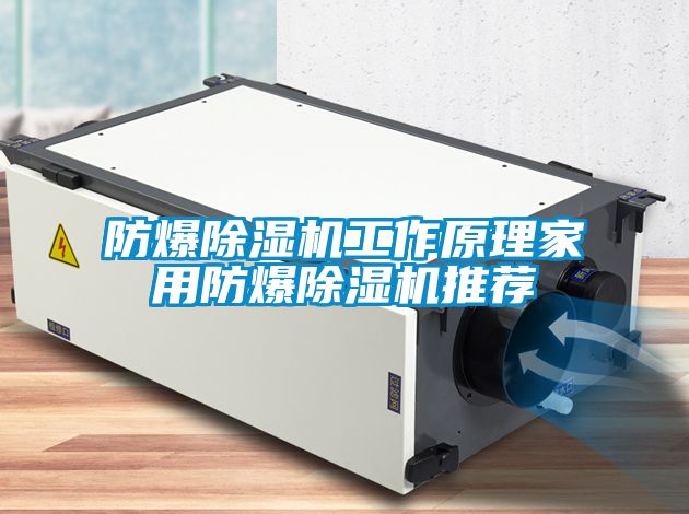 防爆麻豆视频免费看工作原理家用防爆麻豆视频免费看推薦
