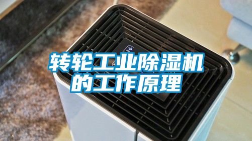 轉輪工業麻豆视频免费看的工作原理