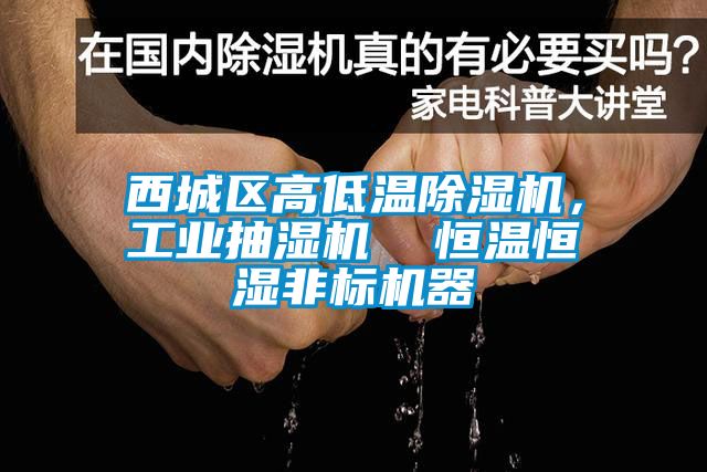 西城區高低溫麻豆视频免费看，工業抽濕機  恒溫恒濕非標機器