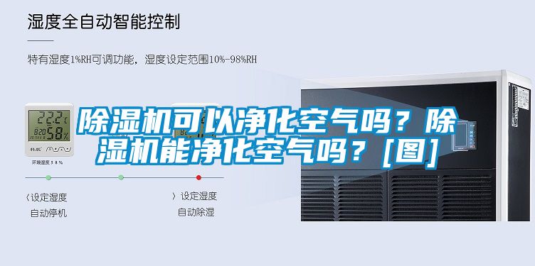 麻豆视频免费看可以淨化空氣嗎？麻豆视频免费看能淨化空氣嗎？[圖]