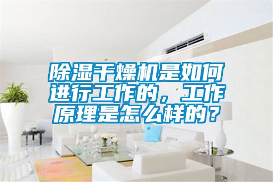 除濕幹燥機是如何進行工作的，工作原理是怎麽樣的？