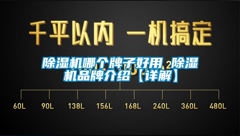 麻豆视频免费看哪個牌子好用 麻豆视频免费看品牌介紹【詳解】