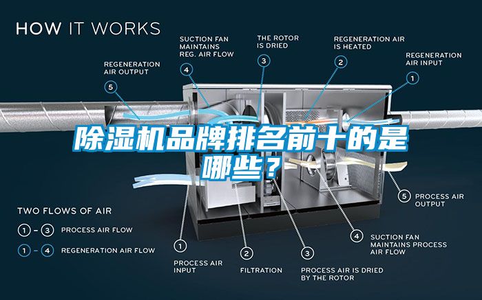 麻豆视频免费看品牌排名前十的是哪些？