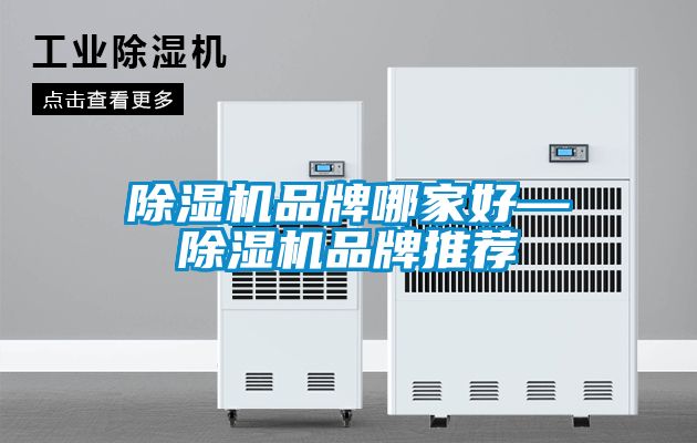 麻豆视频免费看品牌哪家好—麻豆视频免费看品牌推薦