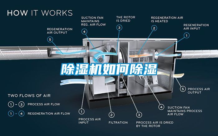 麻豆视频免费看如何除濕