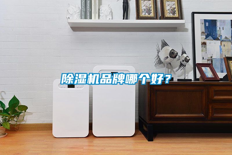 麻豆视频免费看品牌哪個好？