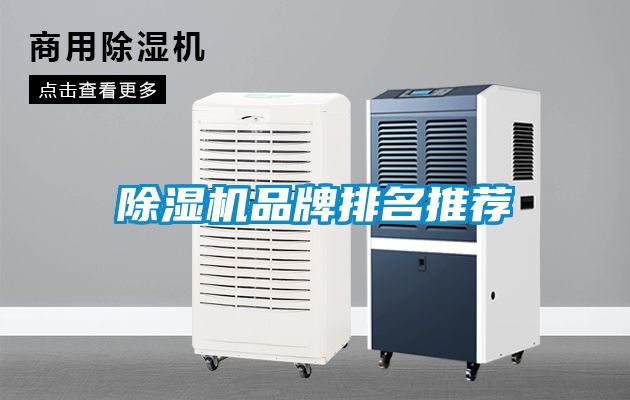 麻豆视频免费看品牌排名推薦