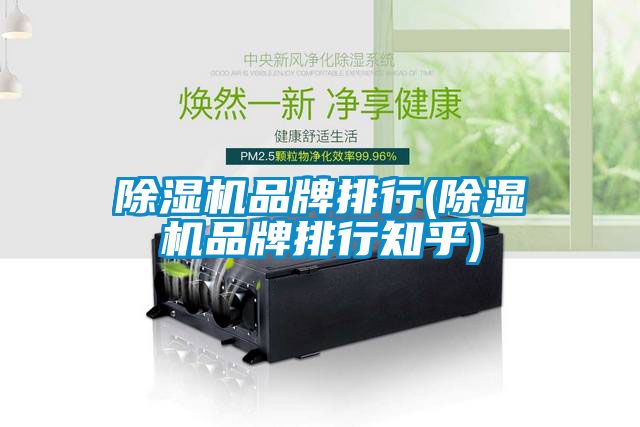 麻豆视频免费看品牌排行(麻豆视频免费看品牌排行知乎)