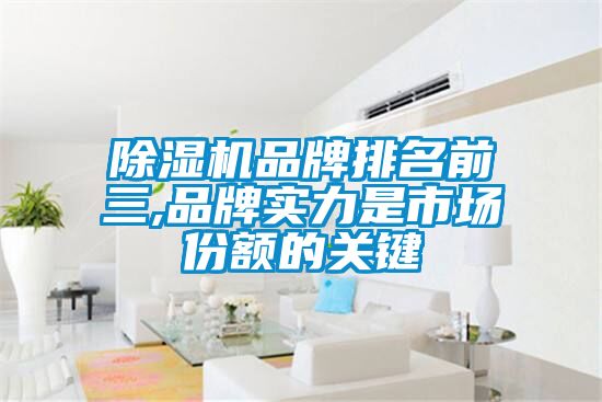 麻豆视频免费看品牌排名前三,品牌實力是市場份額的關鍵