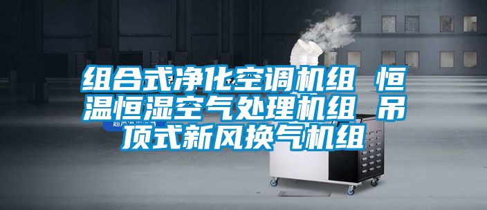 組合式淨化空調機組 恒溫恒濕空氣處理機組 吊頂式新風換氣機組