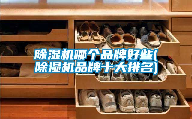 麻豆视频免费看哪個品牌好些(麻豆视频免费看品牌十大排名)