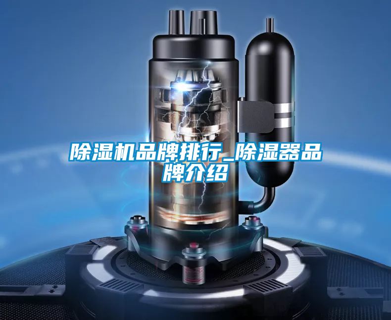 麻豆视频免费看品牌排行_除濕器品牌介紹