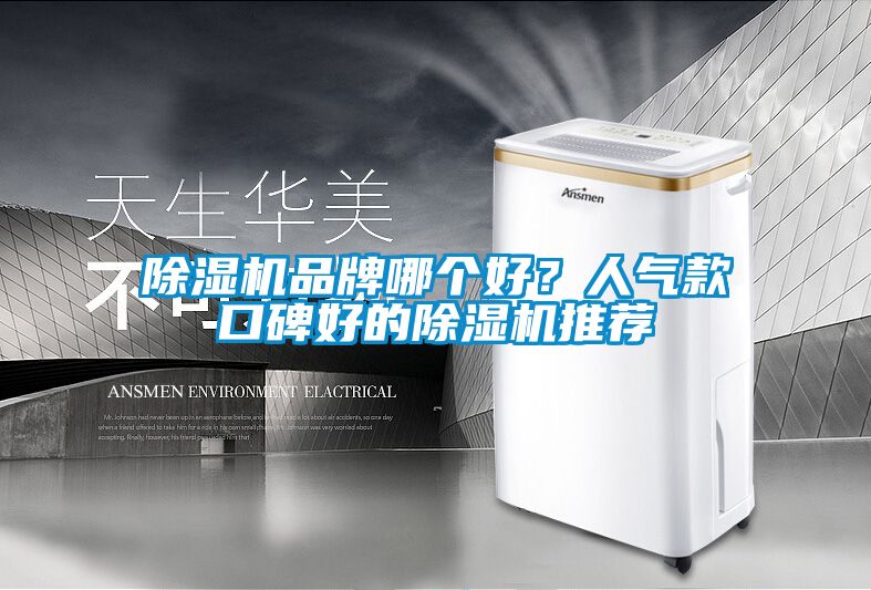 麻豆视频免费看品牌哪個好？人氣款口碑好的麻豆视频免费看推薦