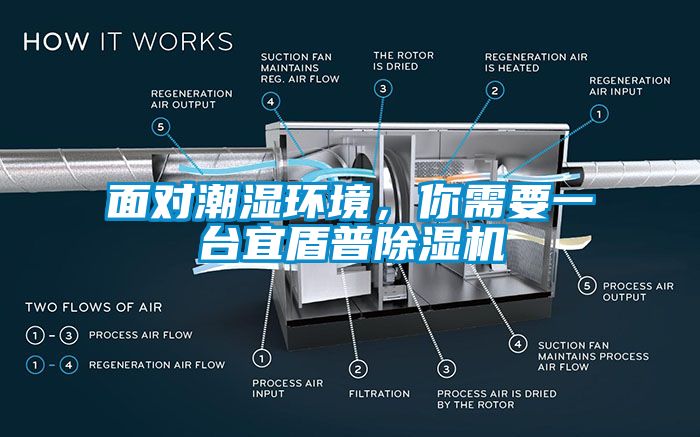 麵對潮濕環境，你需要一台宜盾普麻豆视频免费看