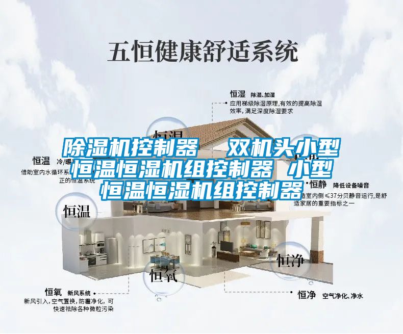 麻豆视频免费看控製器  雙機頭小型恒溫恒濕機組控製器 小型恒溫恒濕機組控製器