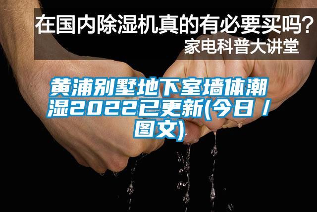 黃浦別墅地下室牆體潮濕2022已更新(今日／圖文)