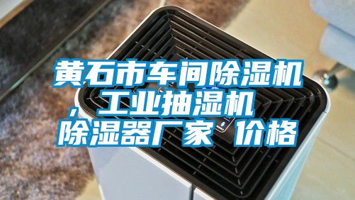 黃石市車間麻豆视频免费看，工業抽濕機  除濕器廠家 價格