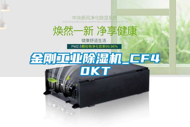 金剛工業麻豆视频免费看_CF40KT