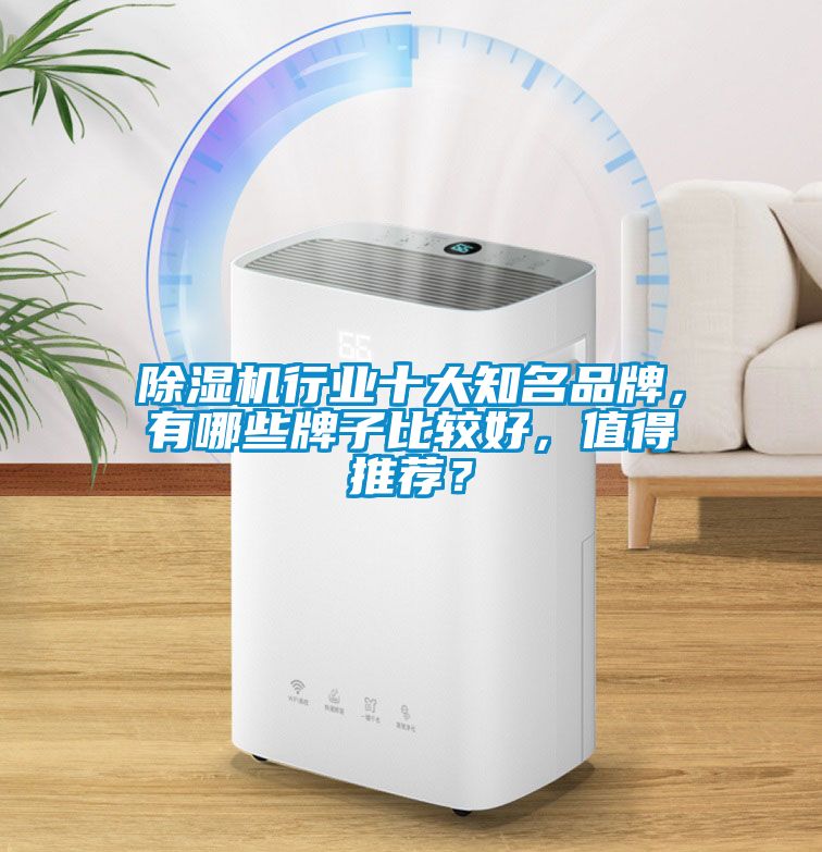 麻豆视频免费看行業十大知名品牌，有哪些牌子比較好，值得推薦？